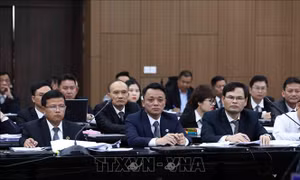 Xét xử vụ AIC: Bị cáo Nguyễn Thị Thanh Nhàn bị đề nghị 30 năm tù