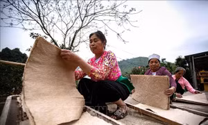 Gìn giữ nghề truyền thống làm giấy dó của người Mường
