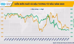 Giá nguyên liệu thức ăn chăn nuôi giảm có ‘gợi ý’ cho việc tăng tái đàn?