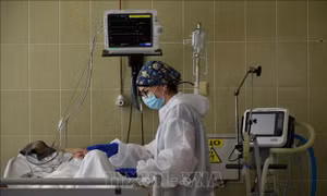 Điểm tựa của người Việt xa xứ trong 'cơn sóng dữ' COVID-19