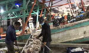 Kiên Giang đầu tư nâng cấp các cảng cá