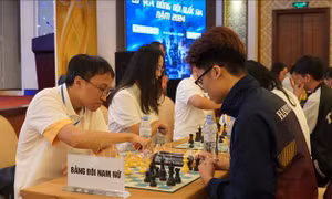Nhiều kiện tướng tên tuổi tham gia Giải vô địch Cờ vua đồng đội quốc gia 2024