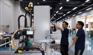 Phát huy vai trò lao động di cư với phát triển kinh tế vùng Đông Nam Bộ