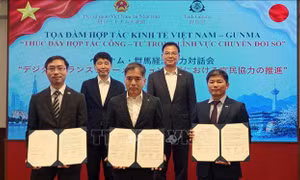 Thúc đẩy hợp tác giữa Việt Nam và Nhật Bản trong lĩnh vực chuyển đổi số