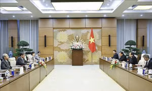 Tạo hành lang pháp lý thông thoáng để triển khai hiệu quả các cam kết hợp tác Việt Nam - Nhật Bản