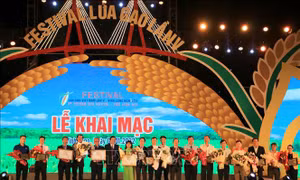 Khai mạc Festival Lúa gạo Việt Nam lần thứ 5