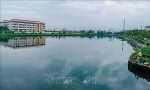 Cần Thơ công bố danh mục các hồ, kênh, rạch cấm san lấp để phòng, chống ngập úng