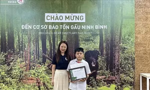 Thông điệp về bảo vệ động vật hoang dã qua tranh vẽ
