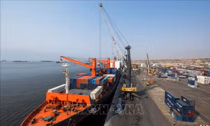 Nhiều nền kinh tế châu Phi kích hoạt cơ chế hỗ trợ khủng hoảng