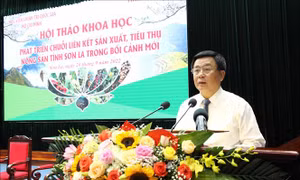 Phát triển chuỗi liên kết sản xuất, tiêu thụ nông sản tỉnh Sơn La trong bối cảnh mới