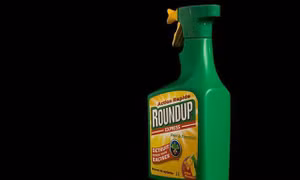 Cục Bảo vệ thực vật củng cố thêm chứng cứ để loại bỏ hoạt chất Glyphosate 