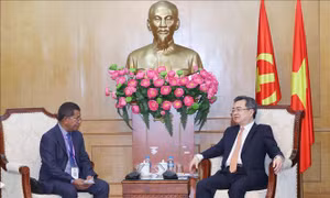 Việt Nam và Timor-Leste chia sẻ kinh nghiệm về xây dựng Đảng, lãnh đạo quản trị quốc gia
