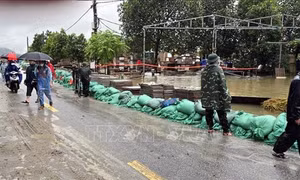 Hệ thống đê, đập tràn ở huyện Ứng Hòa (Hà Nội) đang đảm bảo an toàn