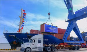 Thủ tục kiểm soát tàu thuyền xuất nhập cảnh, quá cảnh tại Việt Nam