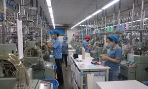 Đào tạo nghề cho lao động nông thôn cần gắn với doanh nghiệp