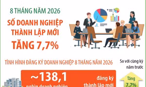 8 tháng năm 2026: Số doanh nghiệp thành lập mới tăng 7,7%