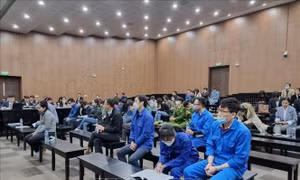 'Siêu lừa' Hà Thành xin lỗi các bị cáo, bị hại trong vụ án