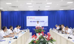 Điện lực miền Trung họp khẩn ứng phó bão số 13