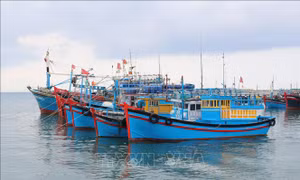 Tuyên chiến với IUU - Bài cuối