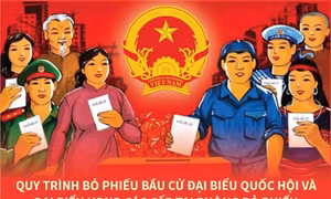 Quy trình bỏ phiếu bầu cử đại biểu Quốc hội và đại biểu HĐND các cấp
