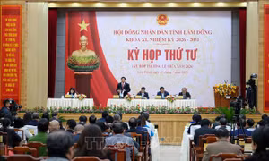 Cập nhật kịch bản tăng trưởng từng ngành, từng địa bàn để đạt con số tốt nhất