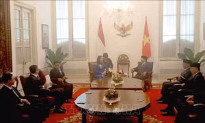 Phó Chủ tịch nước Võ Thị Ánh Xuân gặp Tổng thống Indonesia 