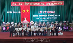 Bình Định kỷ niệm 56 năm chiến thắng An Lão