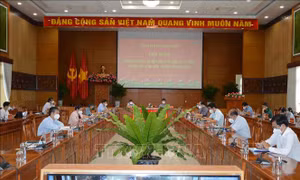 Nhiều cách làm hay, sáng tạo trong xây dựng tổ chức cơ sở đảng tại Đồng Tháp