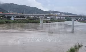 Nước sông tại Lào Cai đang lên, nguy cơ gây ngập lụt một số vùng trũng thấp
