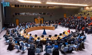 Xung đột Hamas-Israel: HĐBA LHQ lại hoãn bỏ phiếu nghị quyết 