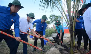Nhiều hoạt động hưởng ứng Chiến dịch Thanh niên tình nguyện Hè