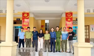 Hải Phòng: Bàn giao các cá thể động vật hoang dã quý, hiếm 