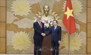 Chủ tịch Quốc hội Trần Thanh Mẫn tiếp Đại sứ Pháp tại Việt Nam