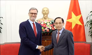 Bộ trưởng Ngoại giao Lê Hoài Trung tiếp Đại sứ Pháp tại Việt Nam chào từ biệt