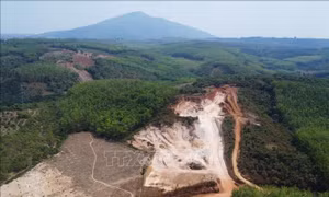 Hủy hoại gần 0,5 ha đất, một cá nhân bị xử phạt 70 triệu đồng