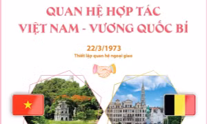 Quan hệ hợp tác Việt Nam - Vương quốc Bỉ