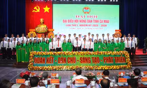 Hỗ trợ nông dân áp dụng chuyển đổi số vào sản xuất, quản lý vùng trồng