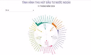 Thu hút đầu tư nước ngoài 11 tháng năm 2024