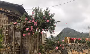 Trở lại Lũng Cú