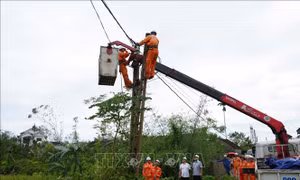 Nghệ An phấn đấu đóng điện trên địa bàn toàn tỉnh trong thời gian sớm nhất