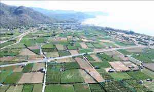 Tăng cường hành lang pháp lý cho phát triển điện hạt nhân an toàn