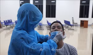 Nghệ An: Không xét nghiệm lại đối với trường hợp đã có kết quả sàng lọc âm tính trong vòng 24 giờ