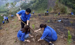 Đề xuất 'Cùng gieo hạt ngày khai trường' gửi Chủ tịch nước và Bộ trưởng Bộ GD&ĐT