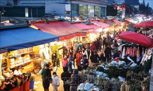 Nhộn nhịp chợ hoa Quảng An ngày cuối năm 