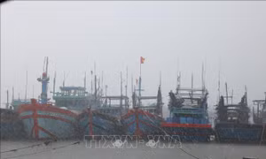 Đà Nẵng cho học sinh toàn thành phố nghỉ học để ứng phó bão số 12