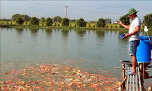 Tiếp 'nhiên liệu' cho nông dân trên con đường làm giàu