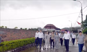 Phó Chủ tịch nước Võ Thị Ánh Xuân thăm, làm việc tại Quảng Ninh