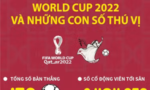World Cup 2022 và những con số thú vị