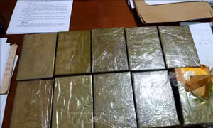 Bắt 2 đối tượng vận chuyển trái phép 10 bánh heroin