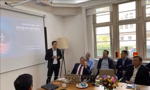 Huy động sự tham gia của kiều bào vào thúc đẩy phát triển bền vững tại Việt Nam